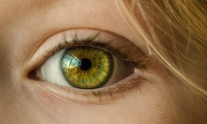 retinal tears and detachment closeup of green eye